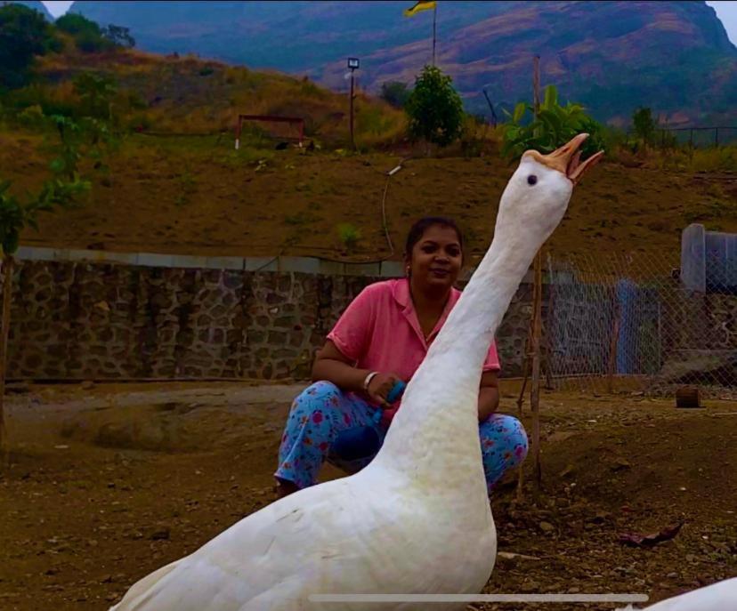 Hotel Jandyal Farm House Malshej Ghat Zewnętrze zdjęcie