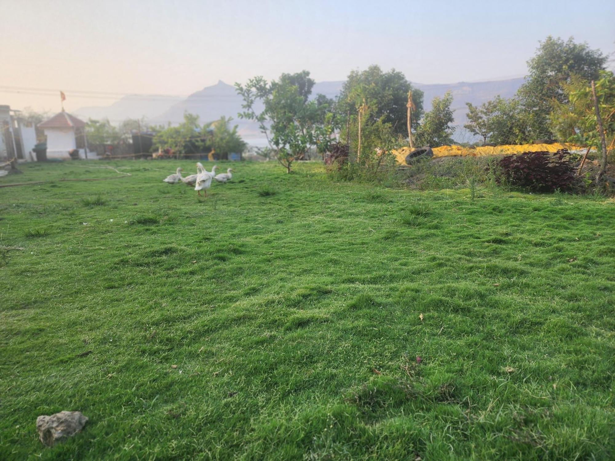 Jandyal Farm House Malshej Ghat Zewnętrze zdjęcie